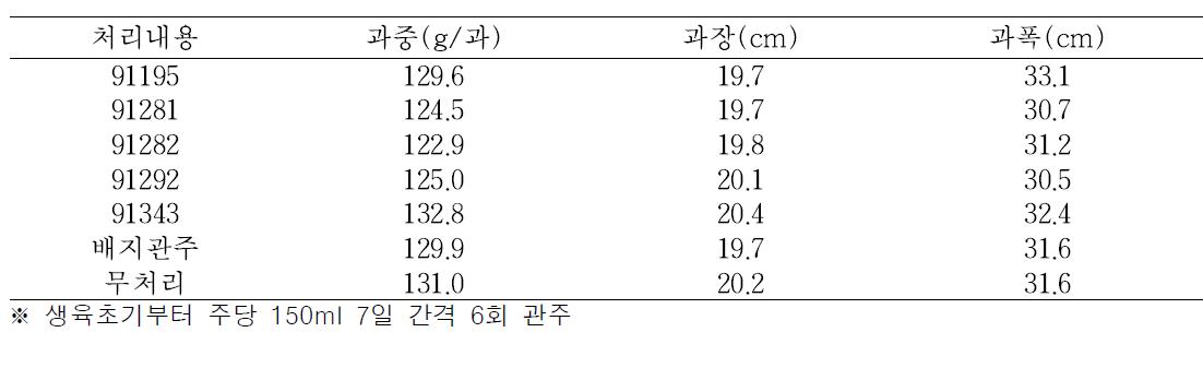 오이 관주처리에 의한 과일특성