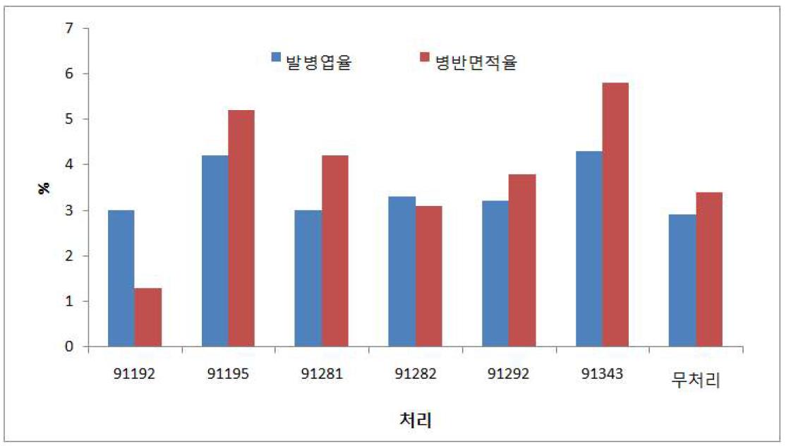 미생물 관주처리에 따른 오이흰가루병 발생정도