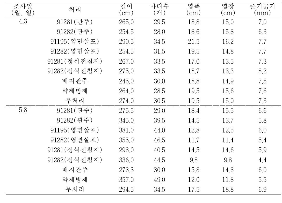 미생물 처리방법별 참외 생육