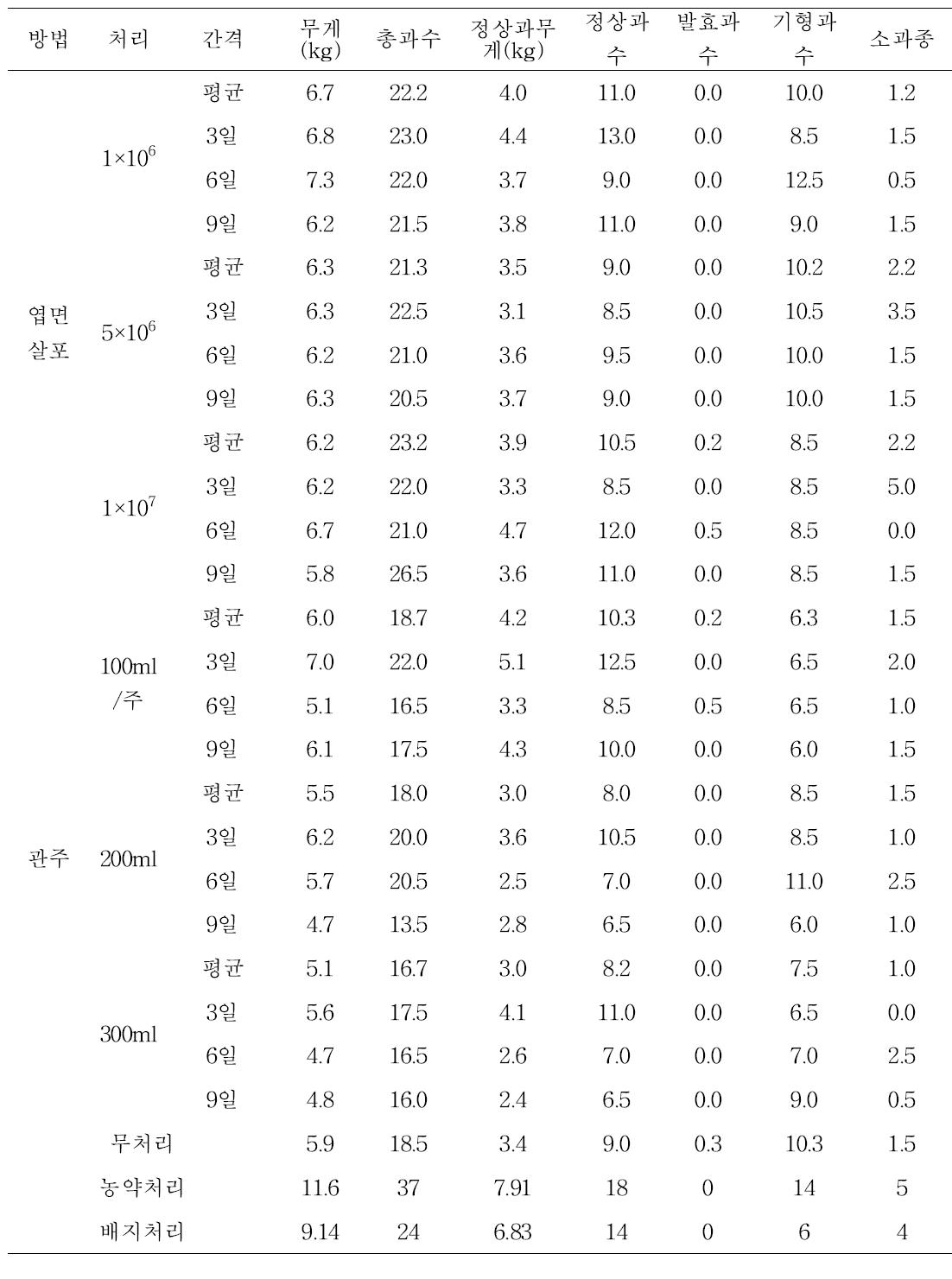 참외 91281 균주 처리방법 및 간격에 따른 수량