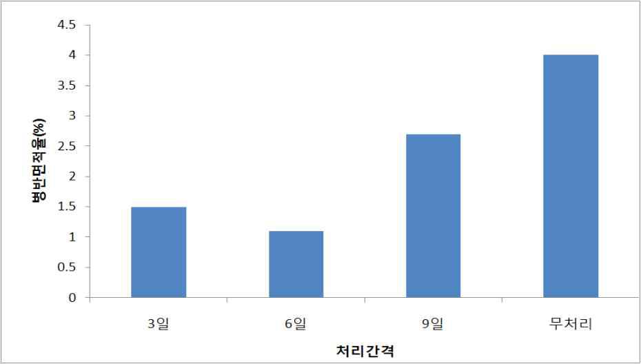 91281균주의 처리간격별 흰가루병 방제효과