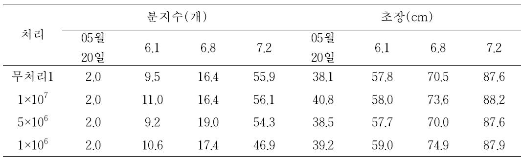 미생물 엽면시비에 의한 고추생육