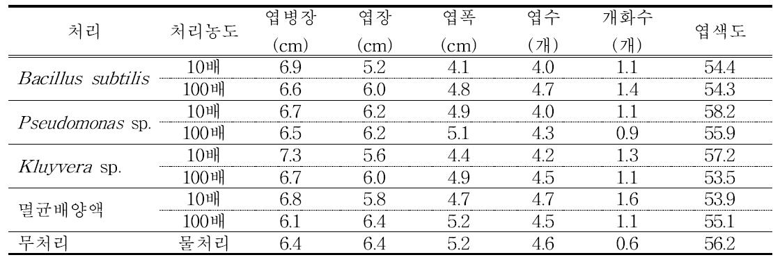 농업미생물 Bacillus subtilis S37-2 처리에 따른 딸기 생육 특성