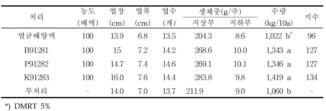 농업미생물 관주 처리 후 배추 생육 및 수량(봄배추)