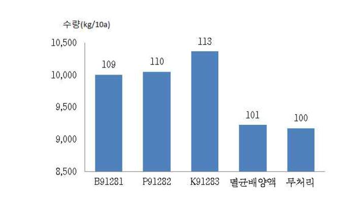 유용미생물 종류별 배추 수량