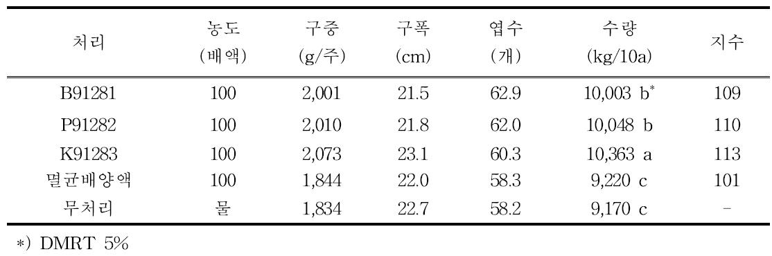 농업미생물제 관주 처리 후 배추 생육 및 수량(가을배추)