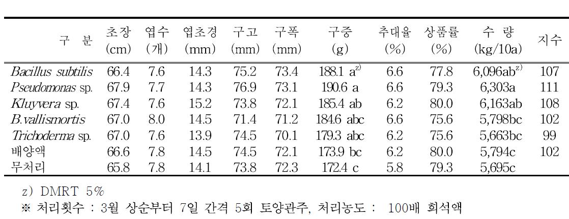 농업미생물 처리 후 양파 생육 및 수량