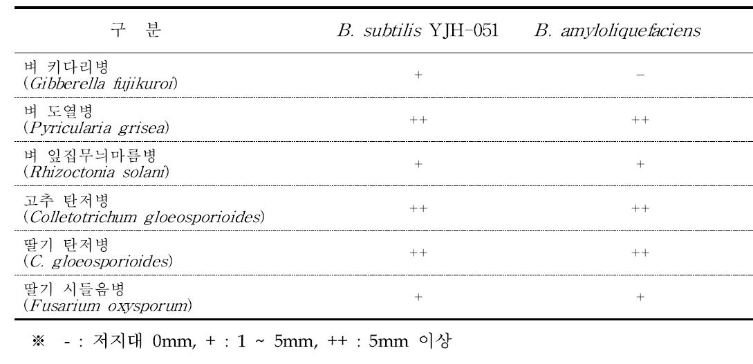 농업미생물의 주요 병원균에 대한 항균활성
