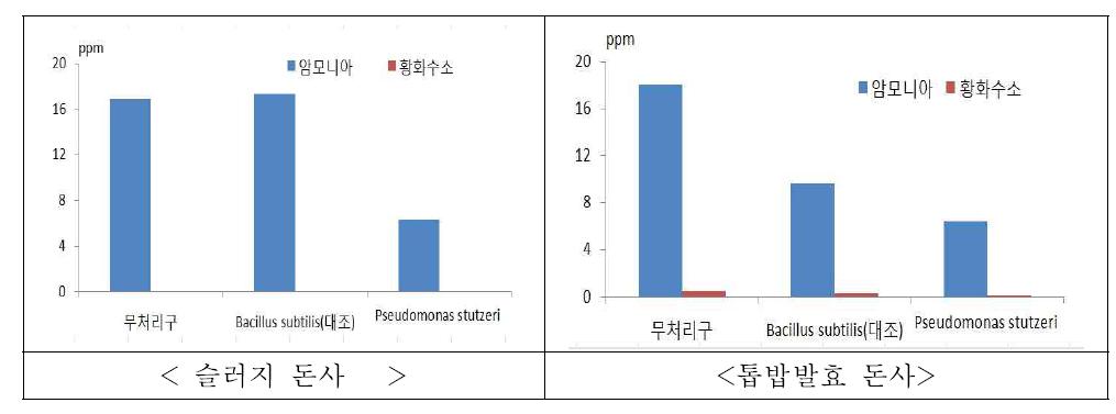 유용미생물의 돈사 악취저감 효과