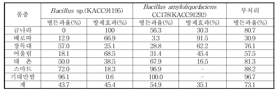 품종별 고추 탄저병 발생정도 및 방제효과 조사