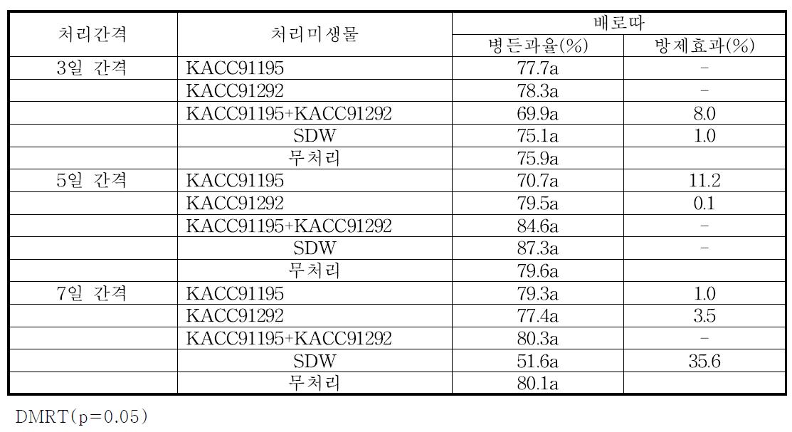 처리시기조절에 의한 고추 탄저병 방제효과