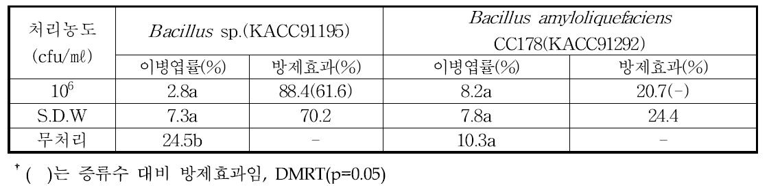 파프리카 흰가루병 발생정도 및 방제효과 조사