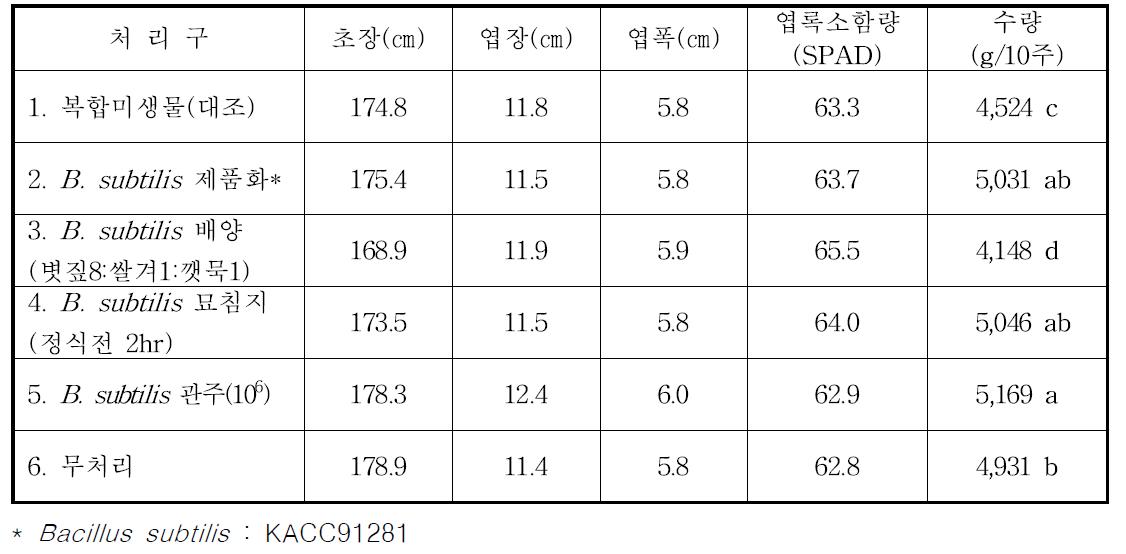 고추 Bacillus subtilis 처리구별 생육상황