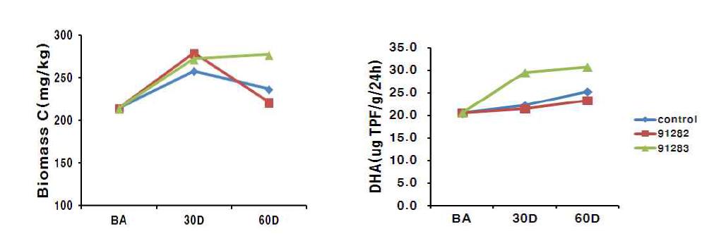 인산가용화균 처리에 따른 토양중 Biomass C과 Dehydrogenase 활성도 변화