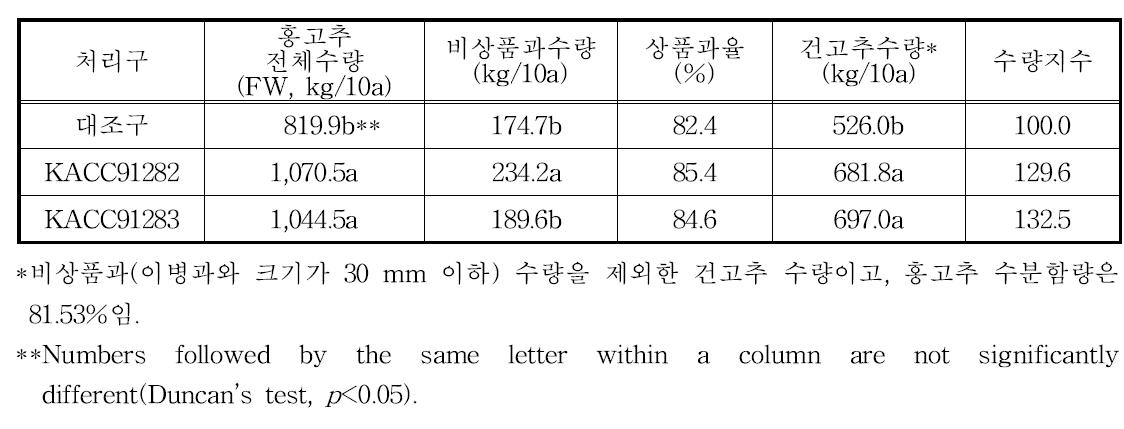 미생물 처리에 따른 노지고추 수량특성