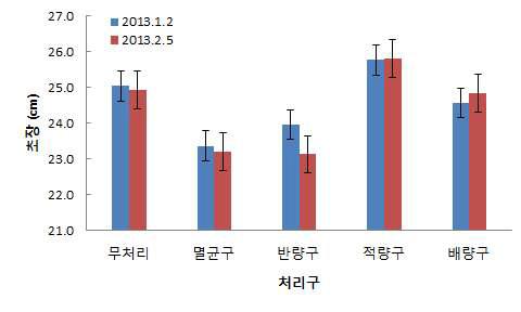 딸기 재배중의 초장 변화