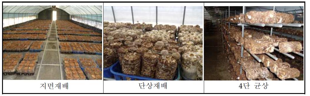 표고버섯 톱밥재배의 재배형태 구분