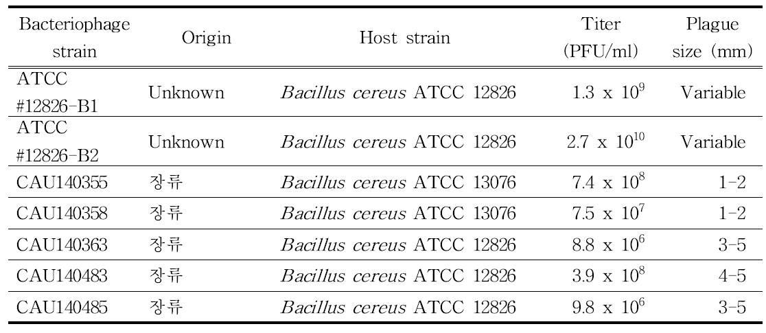 식품유래 Bacillus cereus 박테리오파지 분리주의 용균 특성