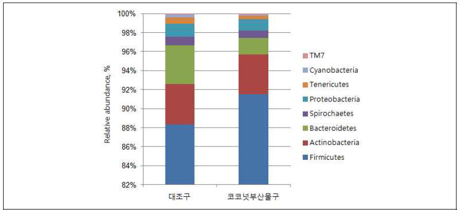 Phylum(문) 수준