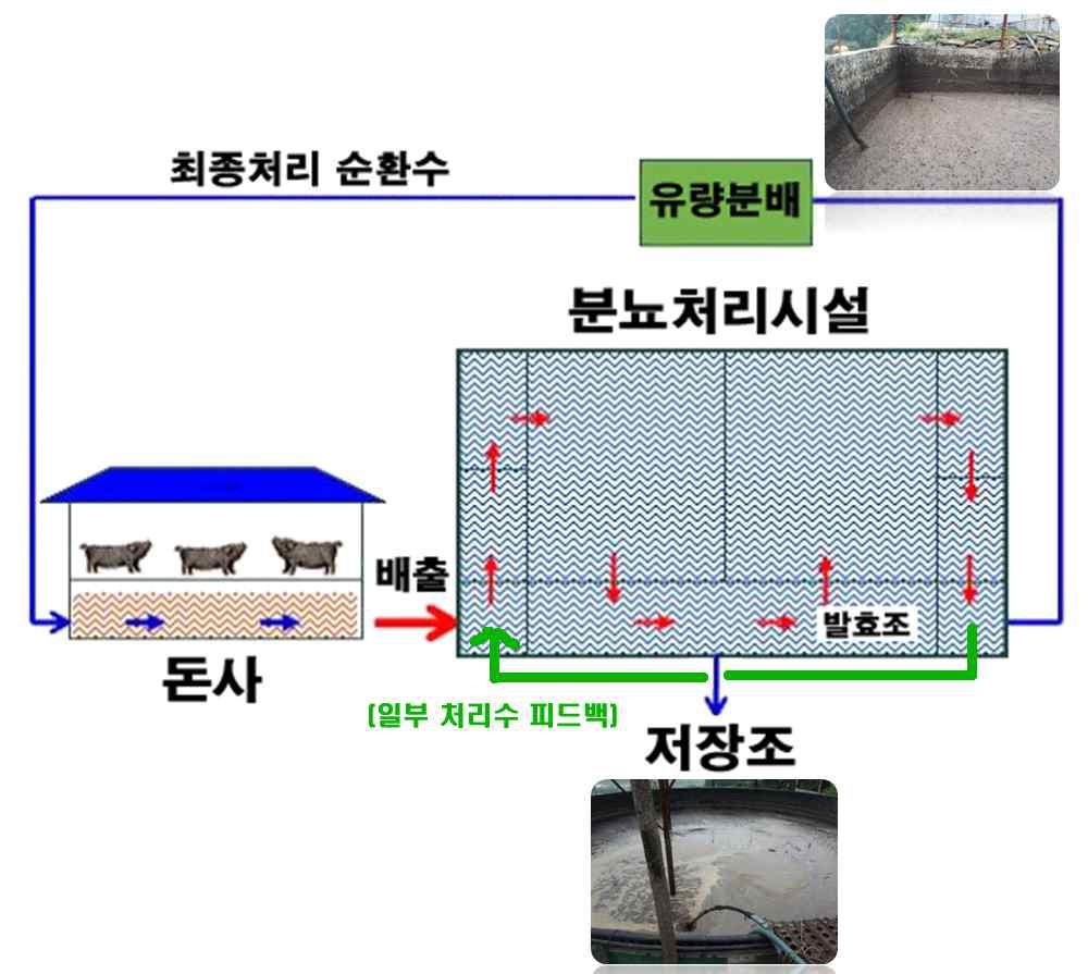 순환시스템 모식도