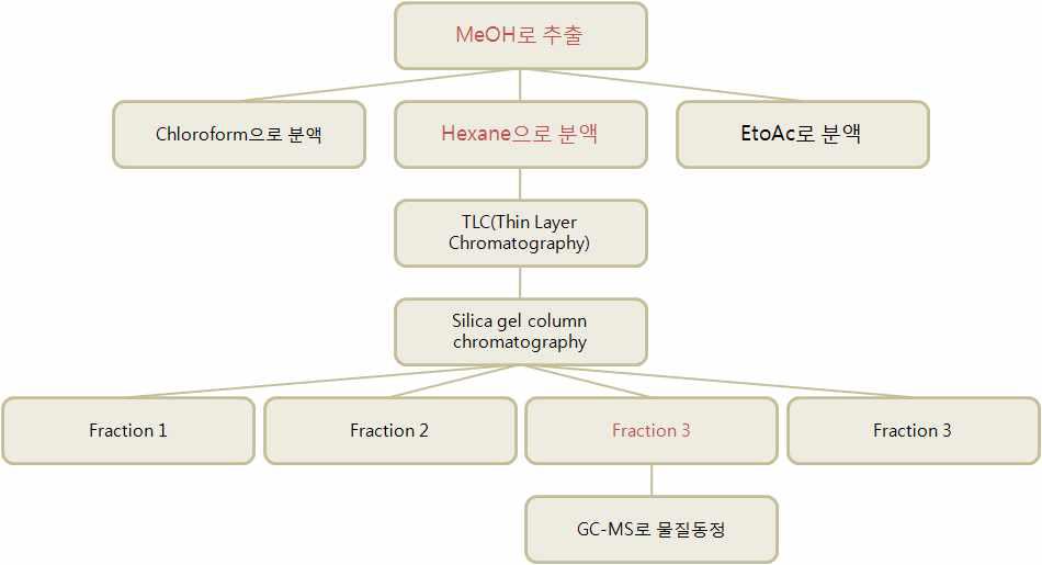 추출물 분리 및 정제 과정과 물질동정