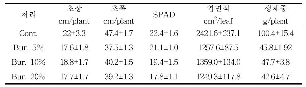 가시박 조추출물 3차 처리 후 생육조사 결과