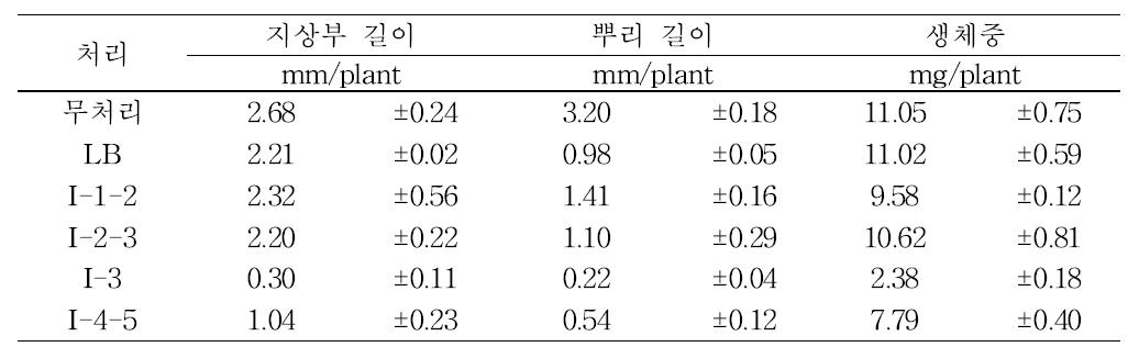 식물생장억제 근권세균 배양액 처리에 의한 무 종자의 생육조사