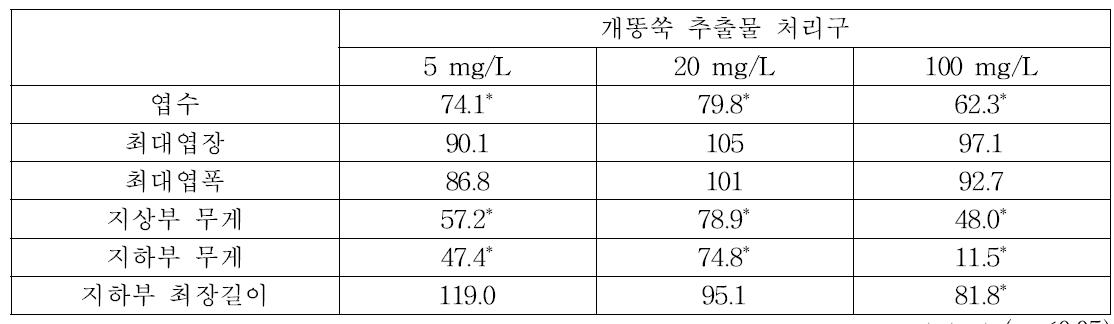 개똥쑥 추출물 관주 처리구에서 대조구 대비 쌈배추 생장율