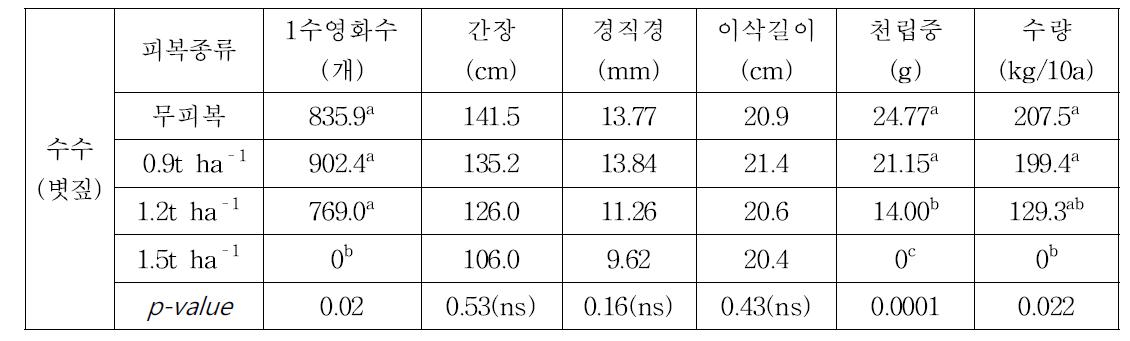 새만금 계화포장 볏짚 피복량별 수수 생육 및 수량