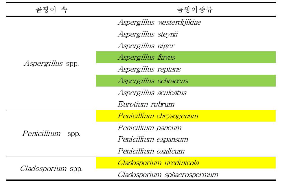 반건시 중 주요한 오염곰팡이