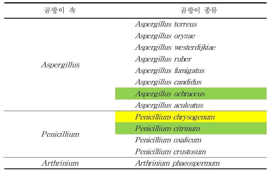 건시 중 주요한 오염곰팡이