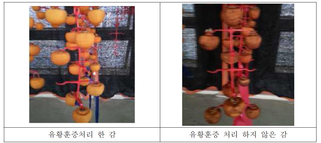 유황훈증 처리에 따른 감 표면 변화