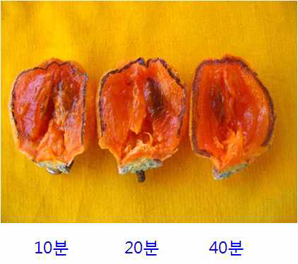 유황처리 시간에 따른 과피두께 처리량 : 10g/m3 처리시간 : 10분, 20분, 40분