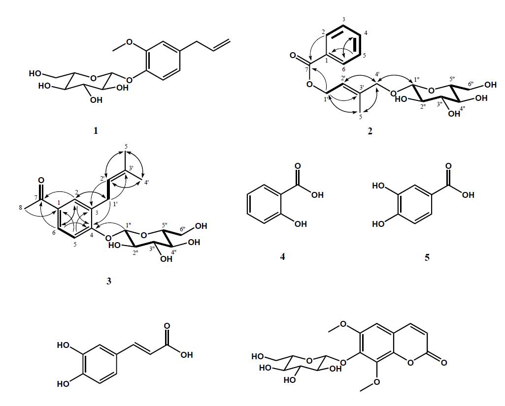 Structures of ACE inhibitors from AS and the important 1H-1H COSY (bold lines) and HMBC (arrows) correlations for 2 and 3.