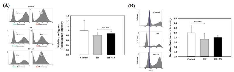 Mitochondrial membrane potential (A) and mitochondrial mass (B) in rats fed high-fat diets containing AS for 11 weeks.