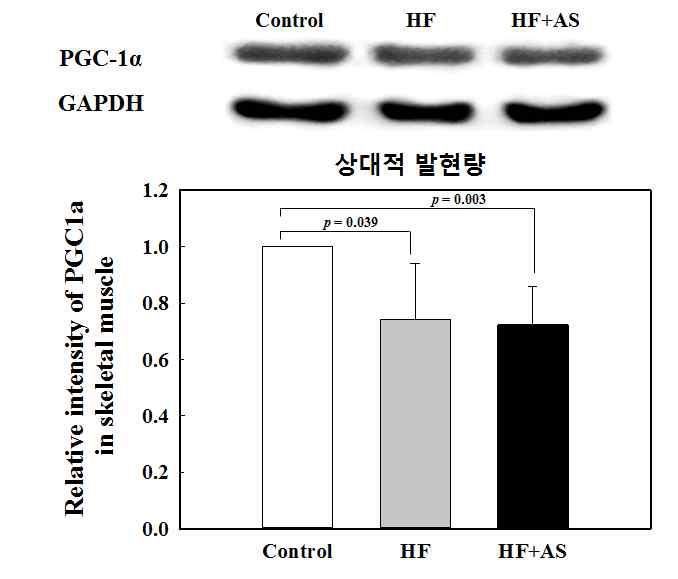Expression level of PGC-1α in skeletal muscle of rats fed high-fat diets containing AS for 11 weeks.