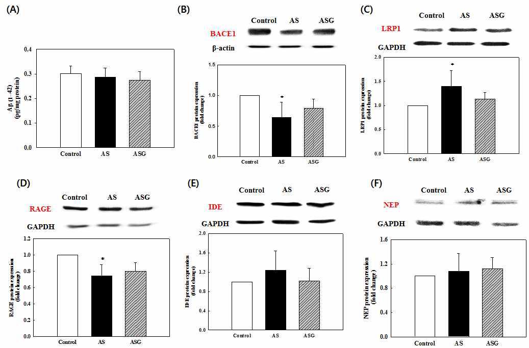 Amyloid β content (A) and expression level of BACE1 (B), LRP1 (C), RAGE (D) IDE (E), and NEP (F) in brain of the rats fed the diet of AS and ASG for 6 weeks.