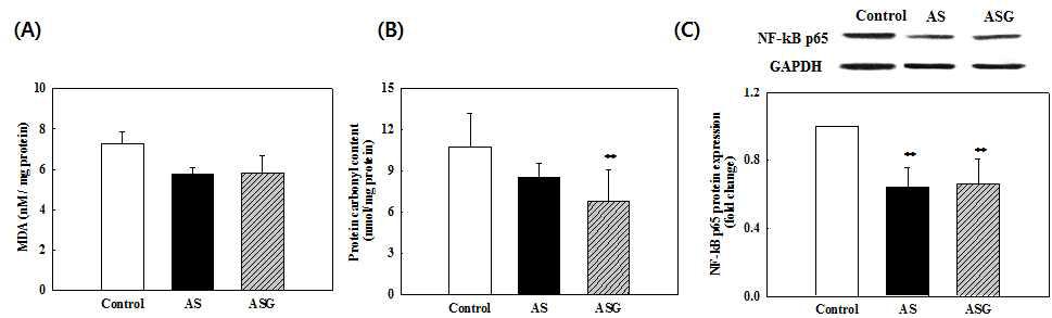 Effect of oxidative stress in brain of the rats fed the diet of AS and ASG for 6 weeks.