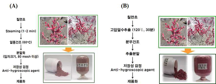 Procedure for manufacturer of Suaeda japonica (SJ) powder (A) and hot water extract (B).