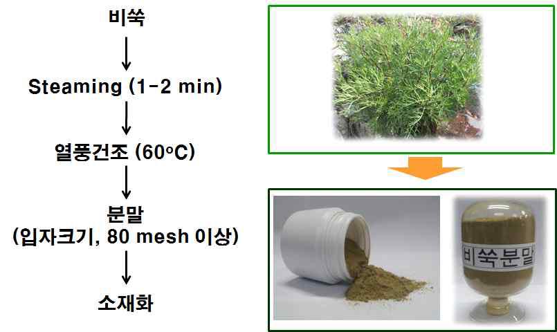 Procedure for manufacturer of Artermisia scoparia (AS) powder.
