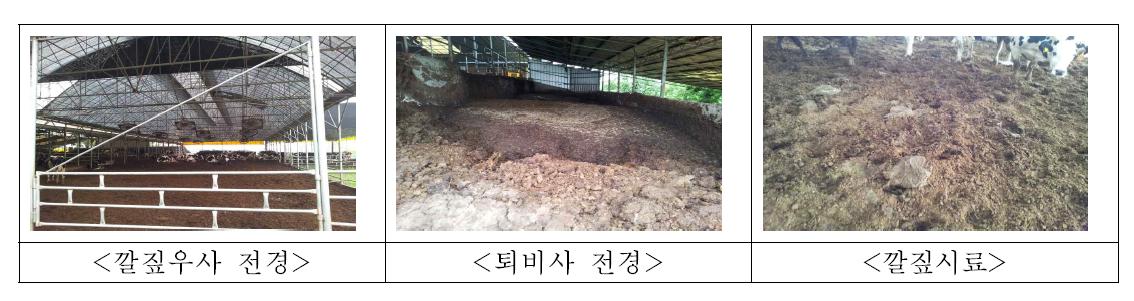 젖소분뇨 처리실태 및 퇴비화 방법조사 대상 D농가