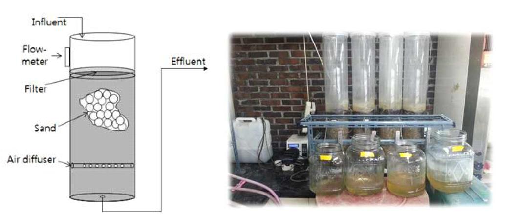 생물막 여과 (biofilm filtering) 시스템