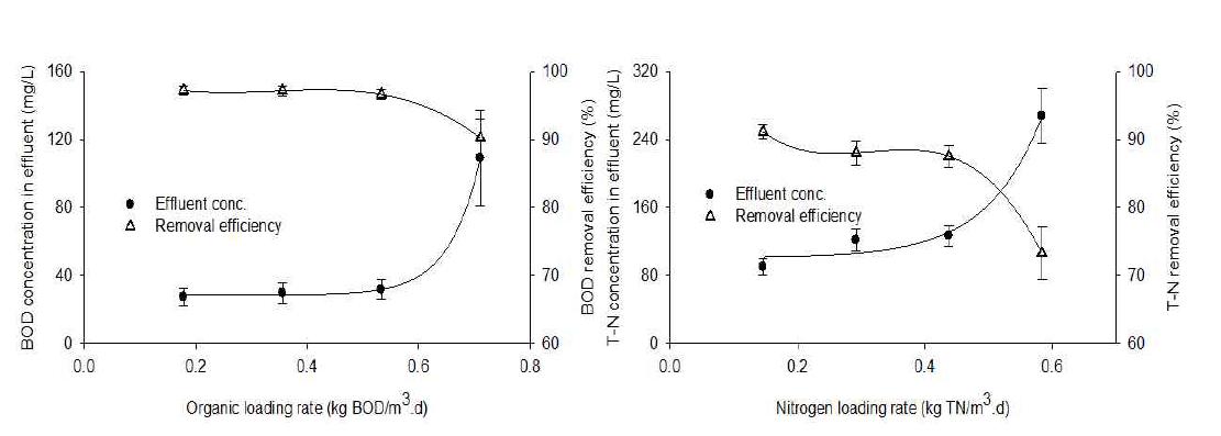 유기물 및 질소 부하량에 따른 유출수 내 BOD와 T-N농도 및 제거효율 변화