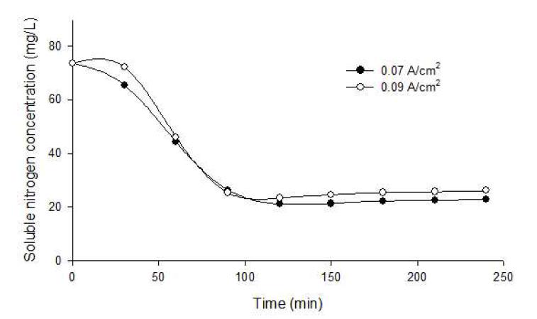 Biofilm filtering 시스템 유출수의 전기화학반응시 질소제거양상