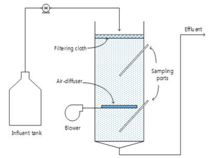 Biofilm filtering 시스템 개략도