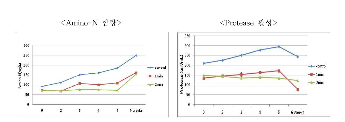 마이크로웨이브 처리시간에 따른 amino-N 함량과 protease 활성 변화