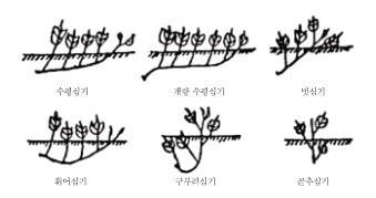 대표적인 고구마 정식 방법