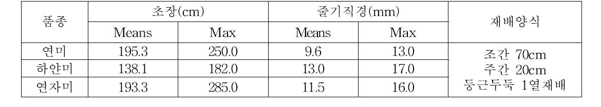 시험포장 고구마 재배양식 및 작물특성