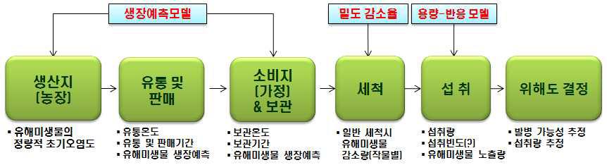 생산-소비단계 토마토, 딸기의 B. cereus, S. aureus의 위해도결정 모식도