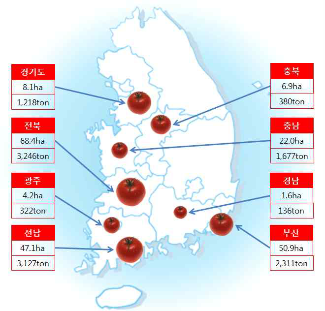 토마토 지역별 GAP 인증 현황